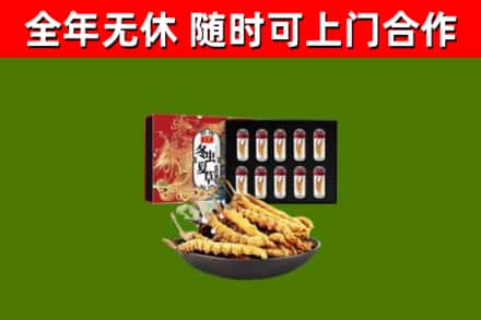 黄浦回收冬虫夏草价格